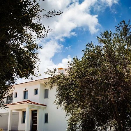 Villa Despoina Pafos Dış mekan fotoğraf