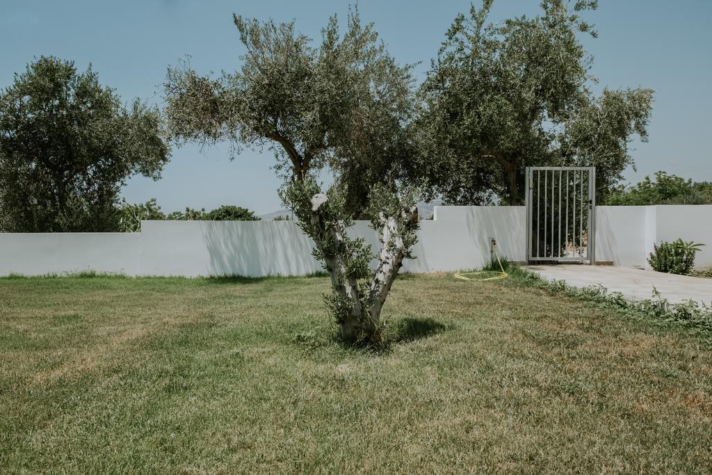 Villa Despoina Pafos Dış mekan fotoğraf